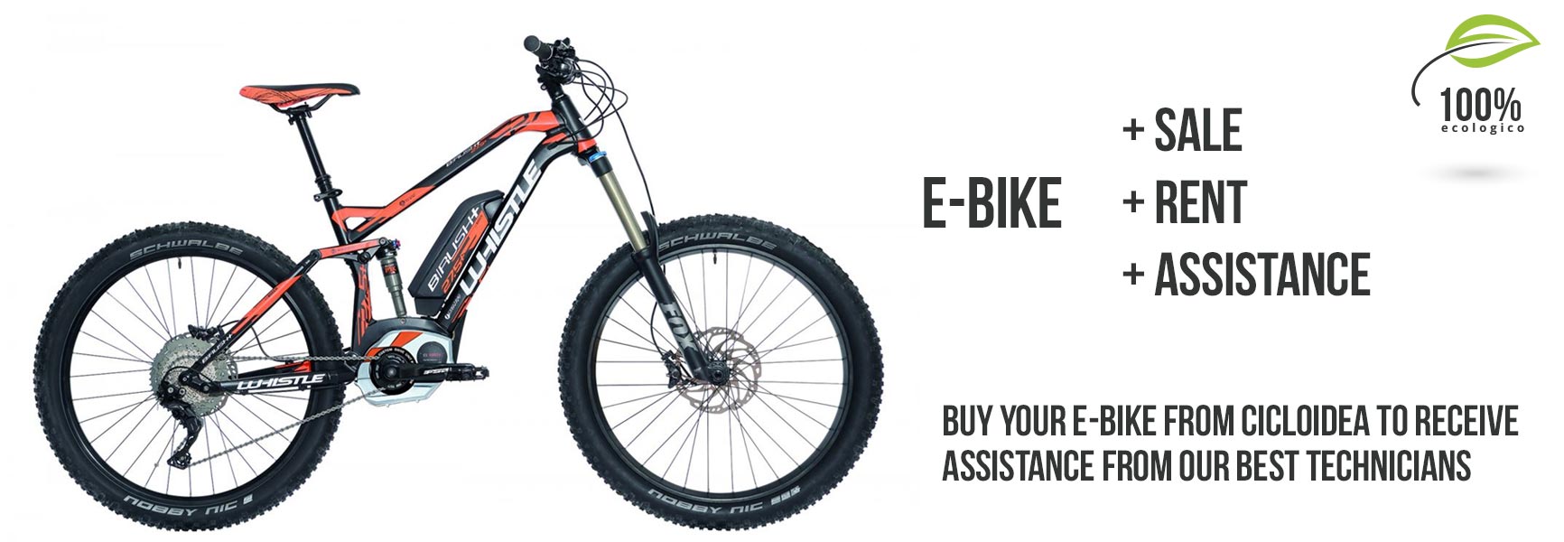 Ebike